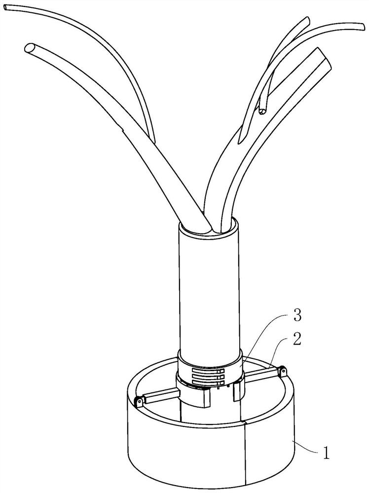 A garden plant maintenance device