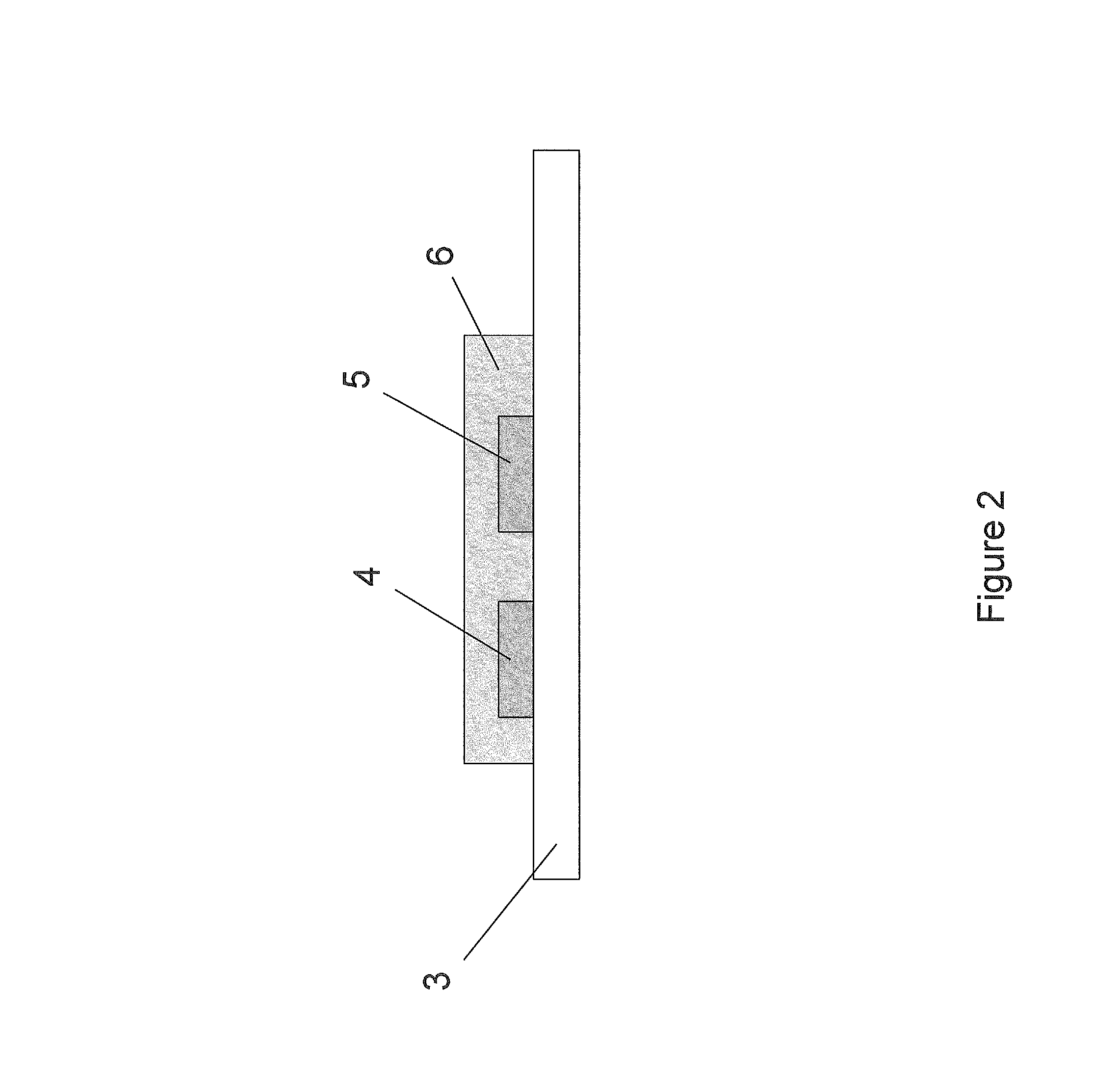 Distortion tolerant processing