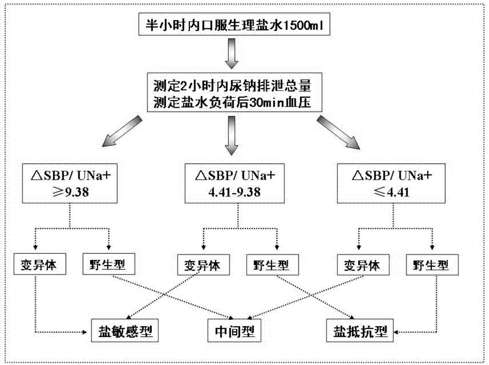 Combined application and method for detecting GRK4 mutant, systolic pressure variation and urine sodium excretion rate