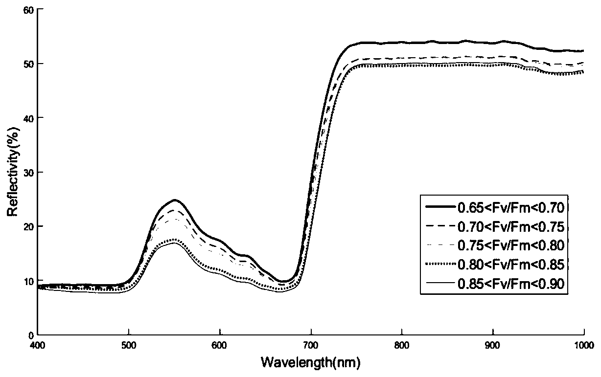 Method for predicting potential maximum photosynthetic capacity of plants based on characteristic wavelengths