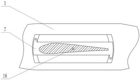 Bionic morphing wing of water-air amphibious aircraft and diving control method of bionic morphing wing