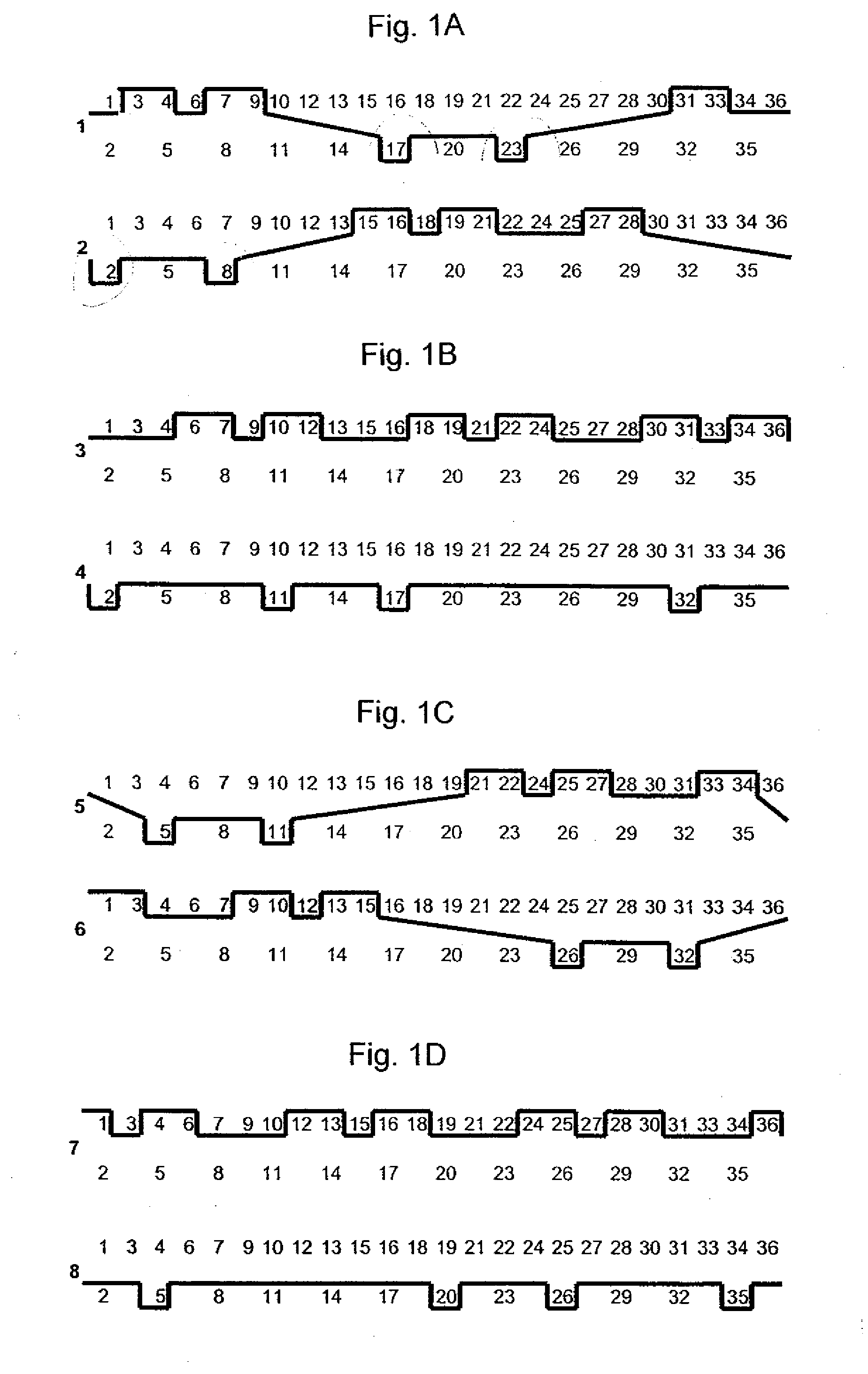 Forming fabric having offset binding warps