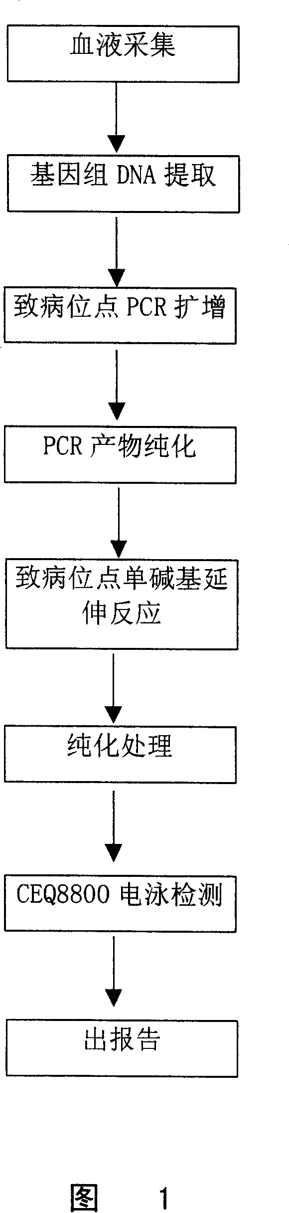 Method for detecting multiple endocrine adenoma II gene mutation