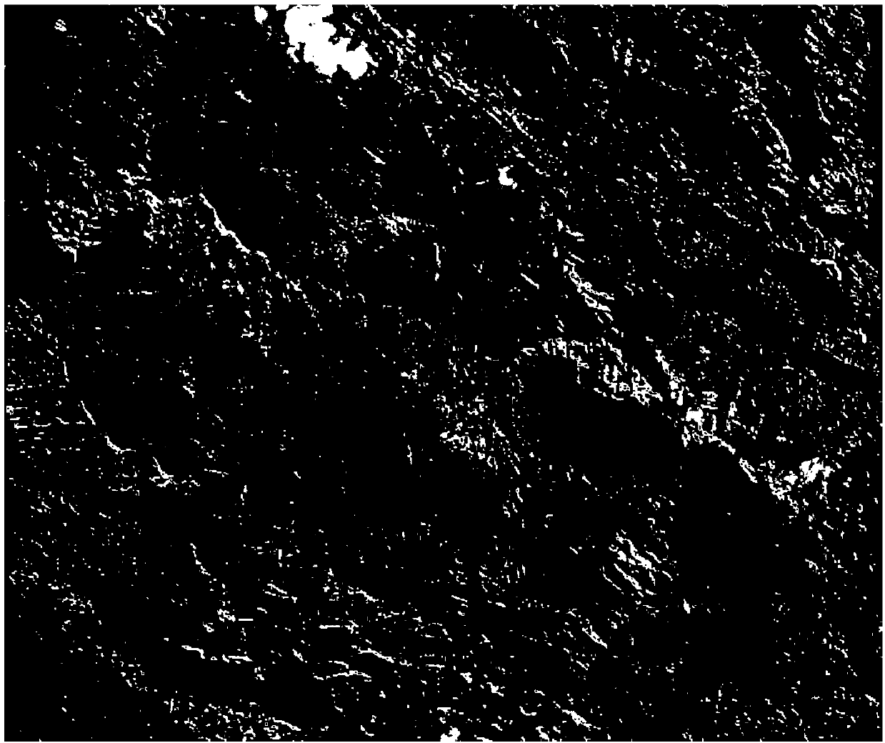 Rapid satellite image stretching deformation detection method based on GPU-CPU (graphics processing unit-central processing unit) collaboration