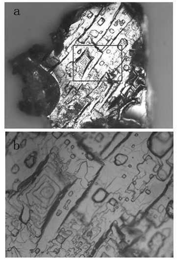 Preparation method of two-dimensional perovskite single crystal with high luminous purity