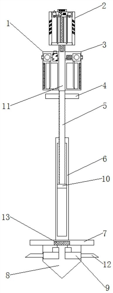 Multifunctional forest cultivation insect killing device