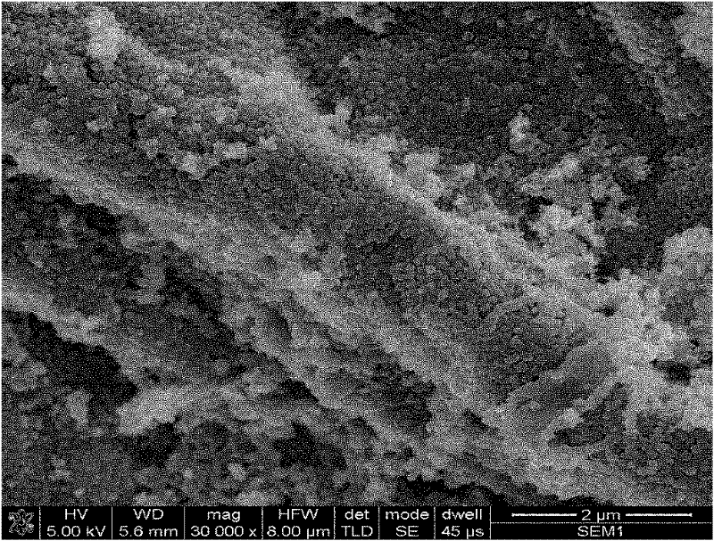 Chitosan-heparin nano-particles and cell matrix-removed biomaterial processed by using the same