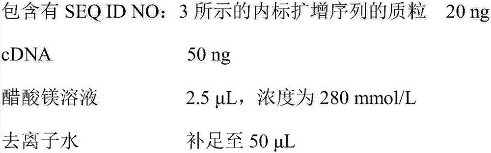 Method for screening soybean mosaic viruses based on RPA-IAC technique, RPA-IAC primer and kit