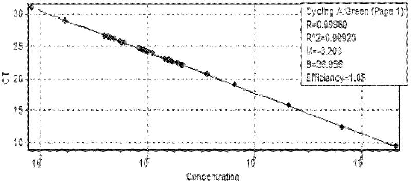 Method for establishing number of Fusarium sp. copies in rhizosphere soil in growth period of transgenic rice by fluorescence real-time quantitative PCR (polymerase chain reaction)