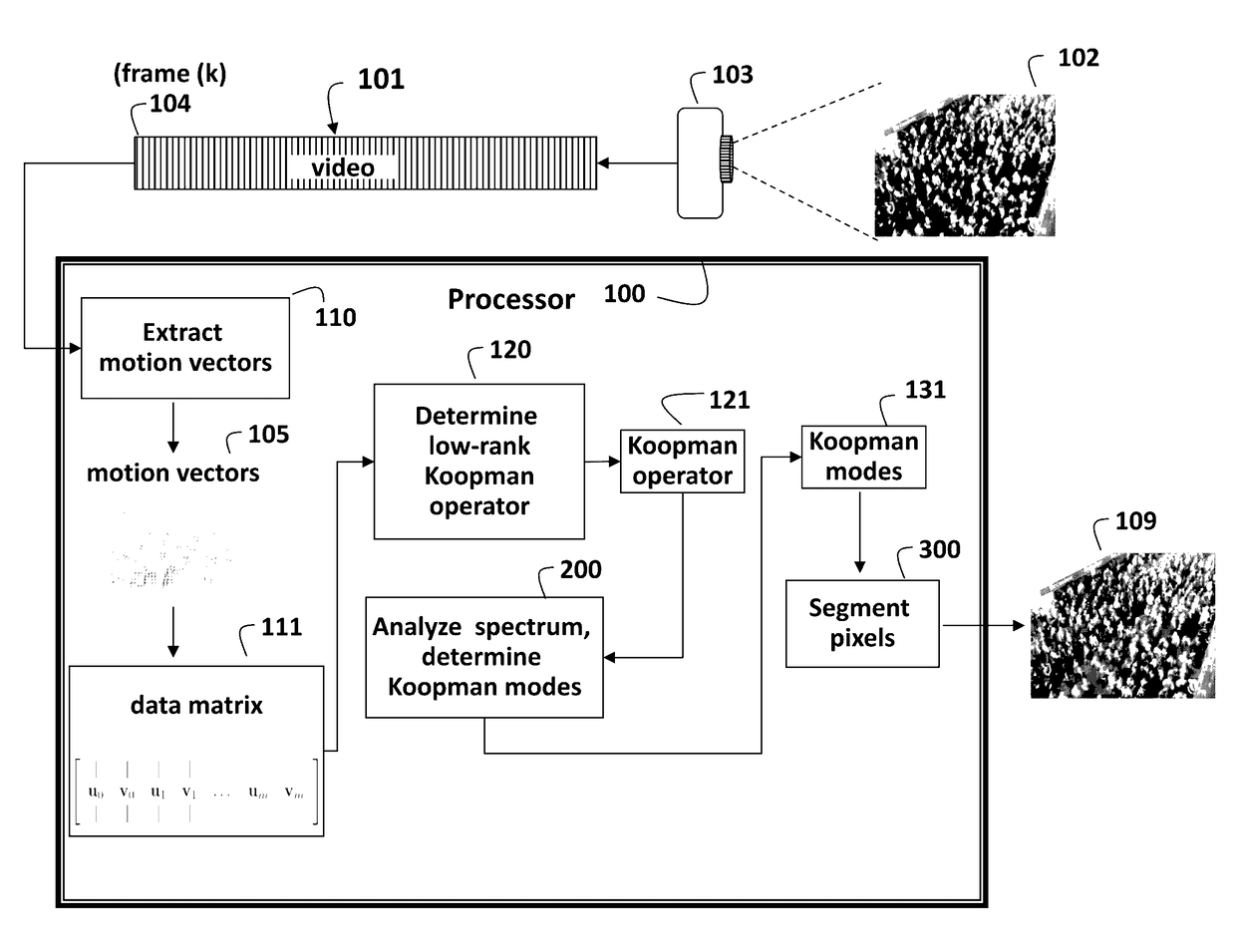 Method and system for segmenting pedestrian flows in videos