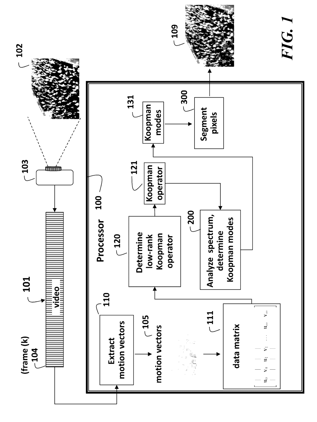 Method and system for segmenting pedestrian flows in videos