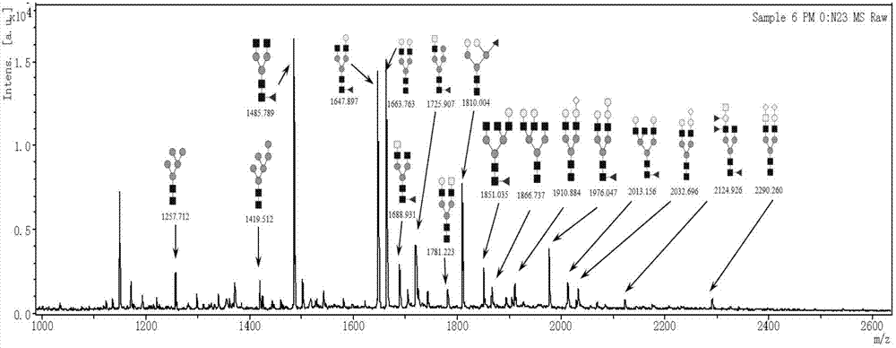 Membrane assisted separation of glycoprotein all N-linked carbohydrate chain and identification method thereof