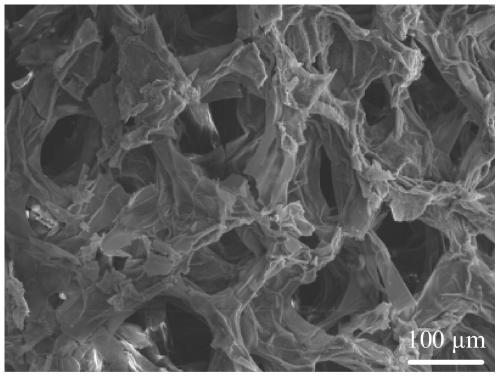 Bio-based photothermal conversion material and preparation method and application thereof