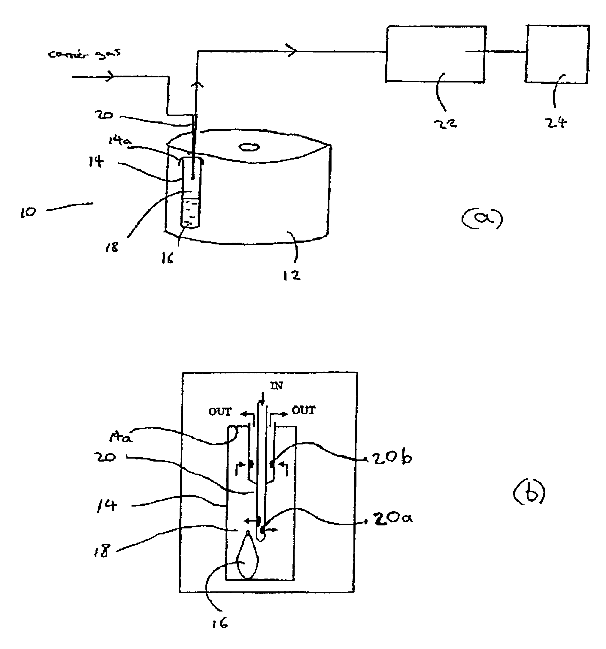 Detection of bacterial vaginosis