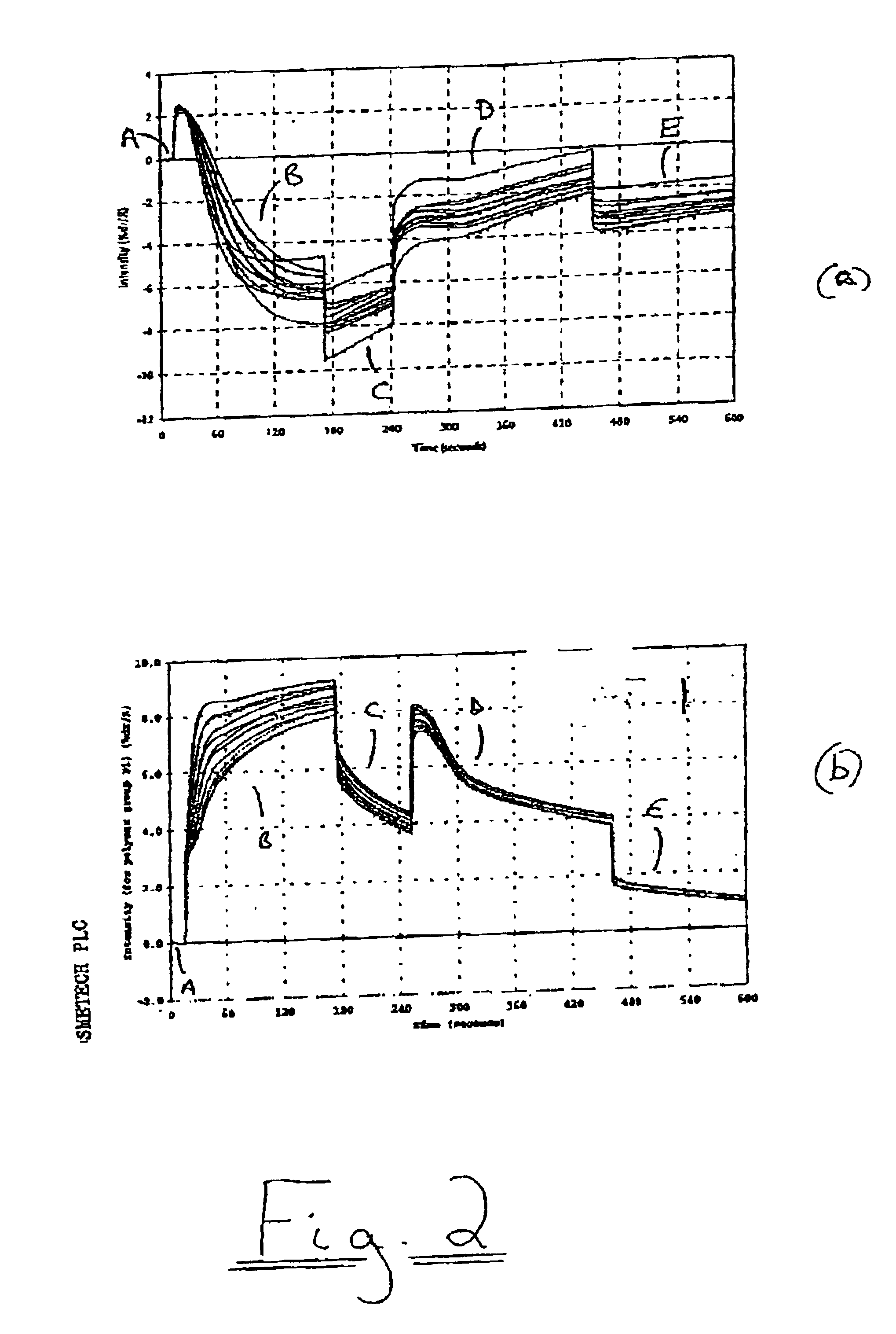 Detection of bacterial vaginosis