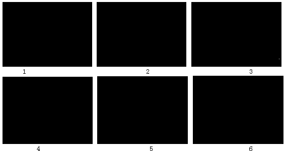 Regeneration method and device used for deactivation catalyst layer of membrane ozone catalytic reactor