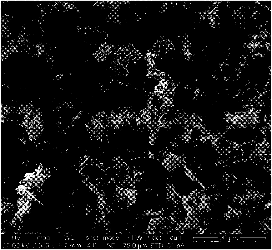 Preparation method of calcined diatomite flatting agent