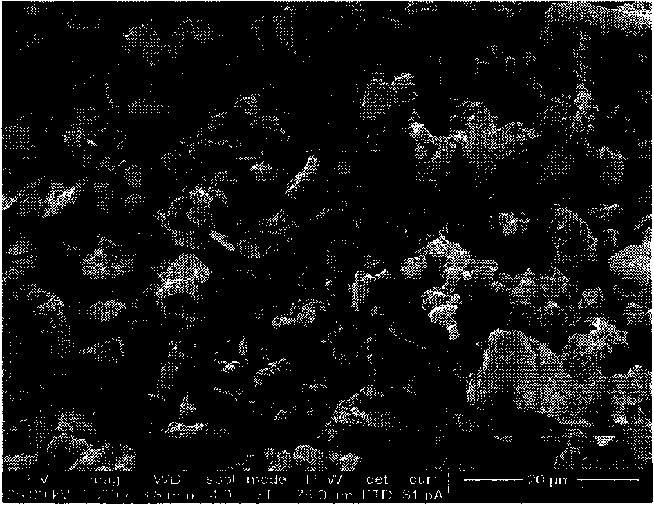 Preparation method of calcined diatomite flatting agent