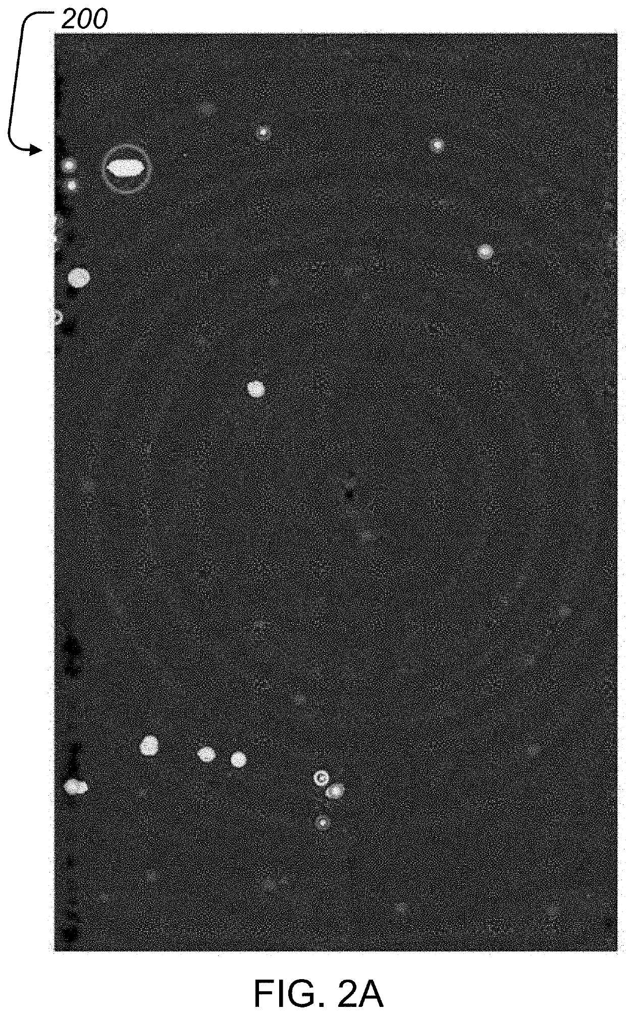 Method for automated crack detection and analysis using ultrasound images