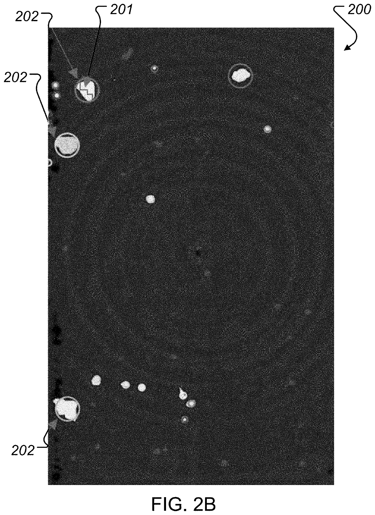 Method for automated crack detection and analysis using ultrasound images