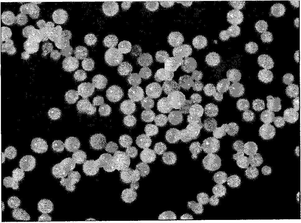 Spherical magnesium halide adduct and preparation method and application thereof