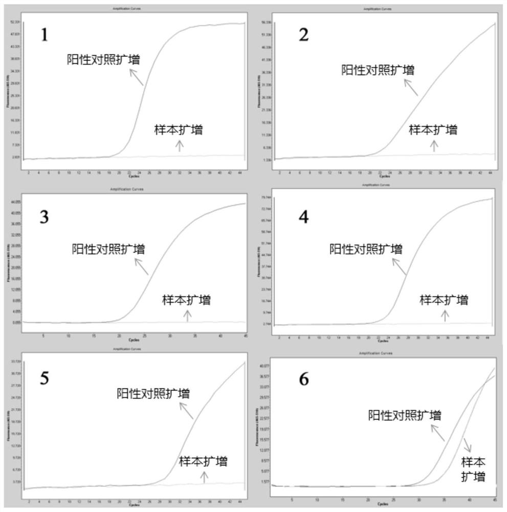 Metagenomics-based respiratory tract throat swab sample library building method and pathogen detection method