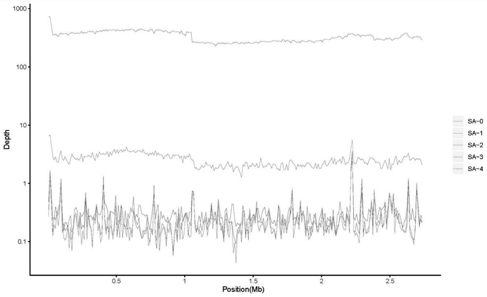 Metagenomics-based respiratory tract throat swab sample library building method and pathogen detection method