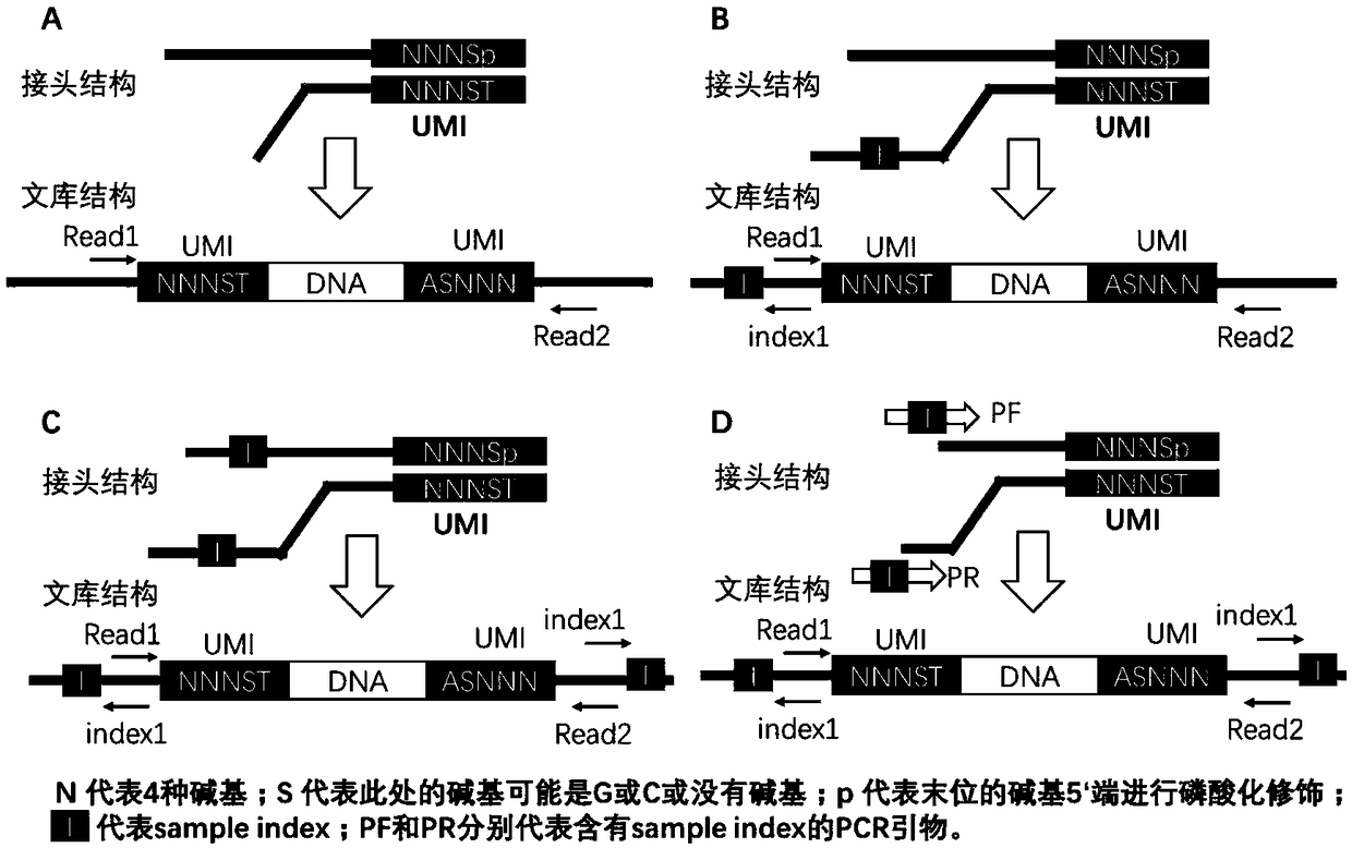 Double-terminal molecular tag connector, application thereof and sequencing library comprising same