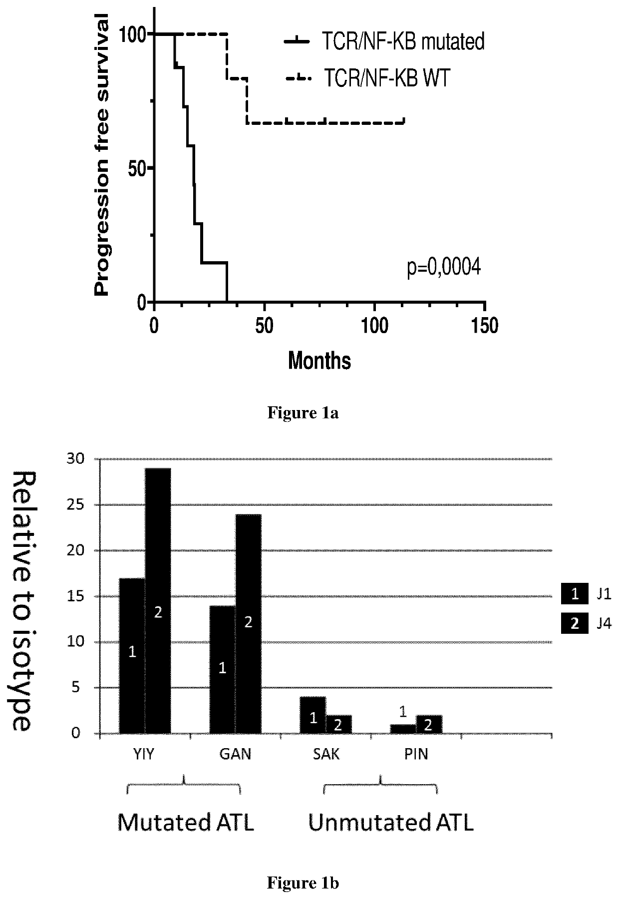 Methods for the treatment of adult t-cell leukemia/lymphoma