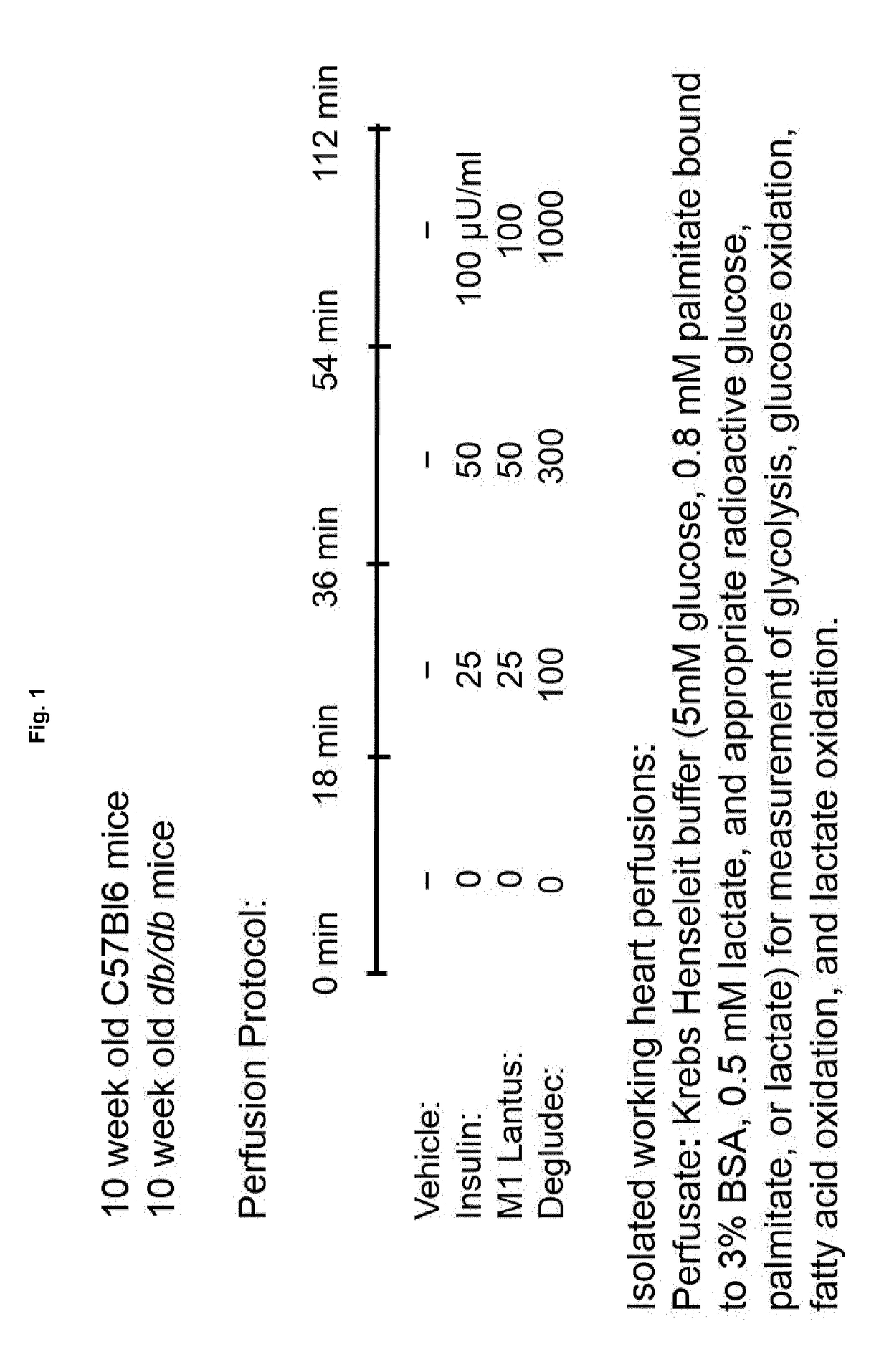 Cardiac metabolic effect of lantus