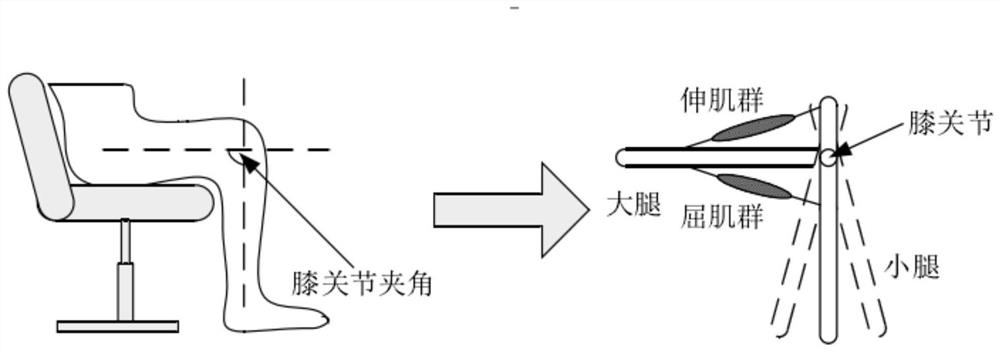 Knee joint load mechanics analysis device