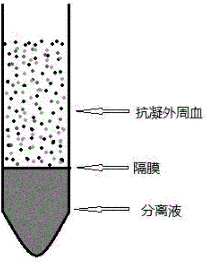 Kit for simultaneously extracting circulating tumor cell DNA and tumor free DNA