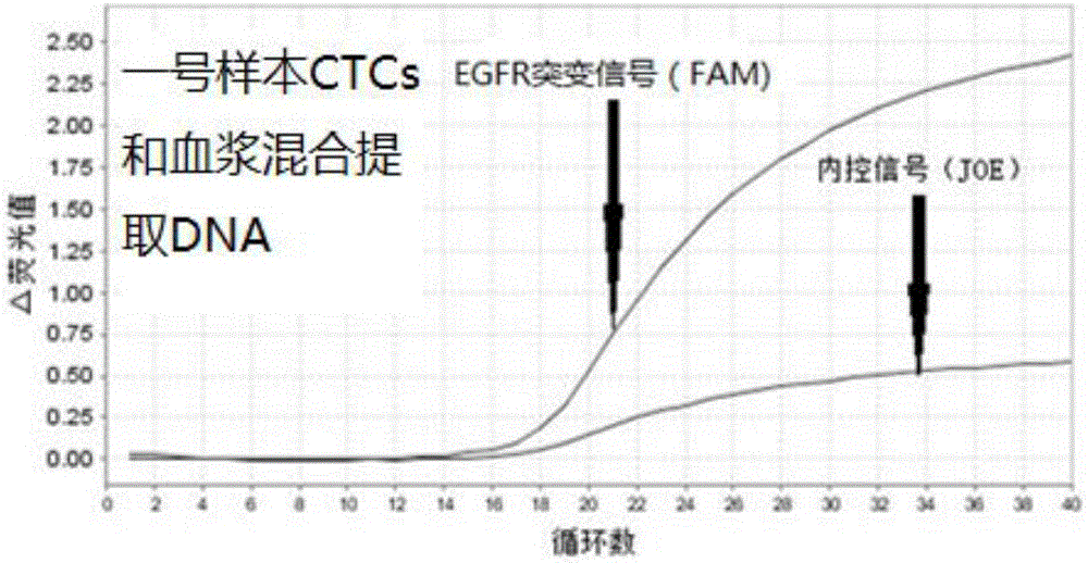 Kit for simultaneously extracting circulating tumor cell DNA and tumor free DNA