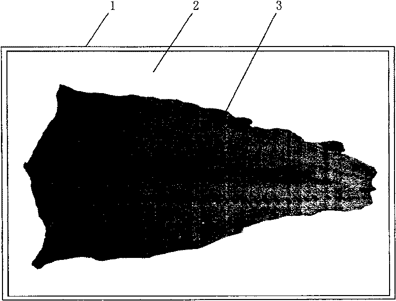 Sturgeon leather painting and making method therefor