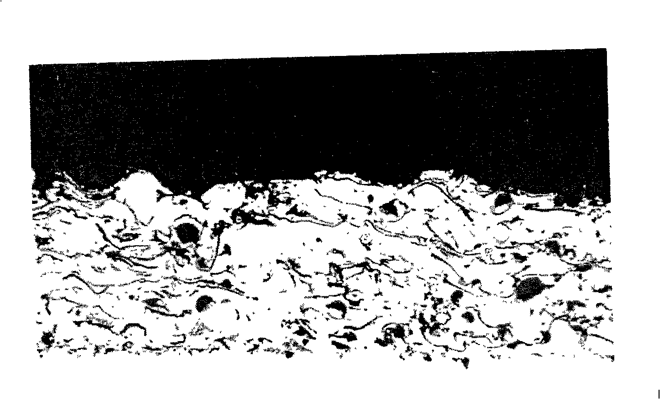 Method for renovating lubricant pump casing bush with plasma spraying Cu-Al coating