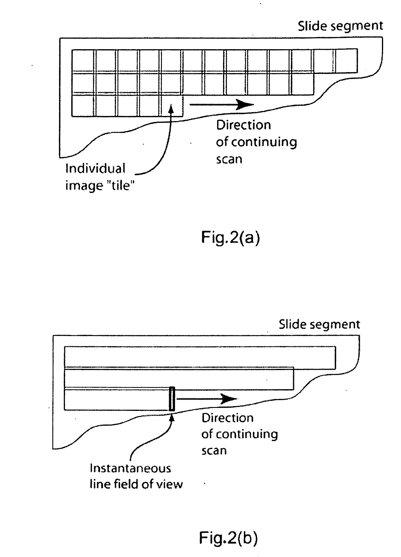 Liquid-lens variable-control optics in array microscope