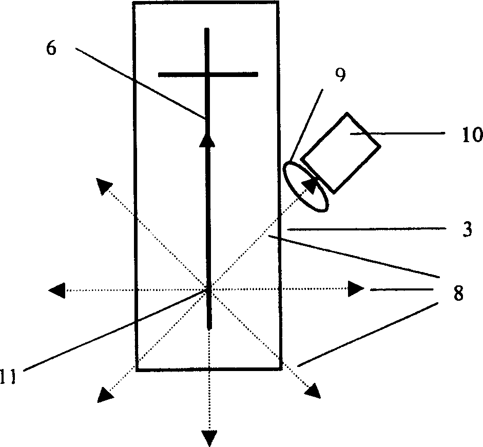 An orthogonal light path type fluorescent detection device for microchip analysis