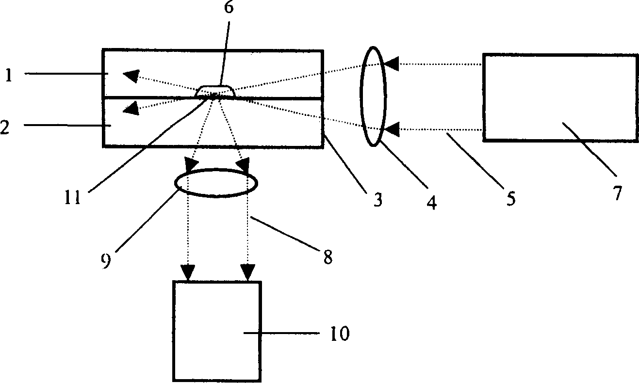 An orthogonal light path type fluorescent detection device for microchip analysis