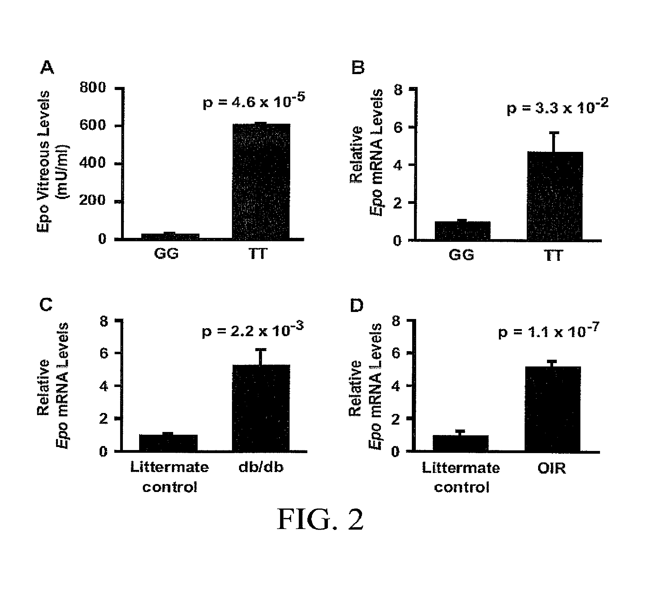 Compositions and Methods for Diagnosing and Treating Diabetic Micro Vascular Complications