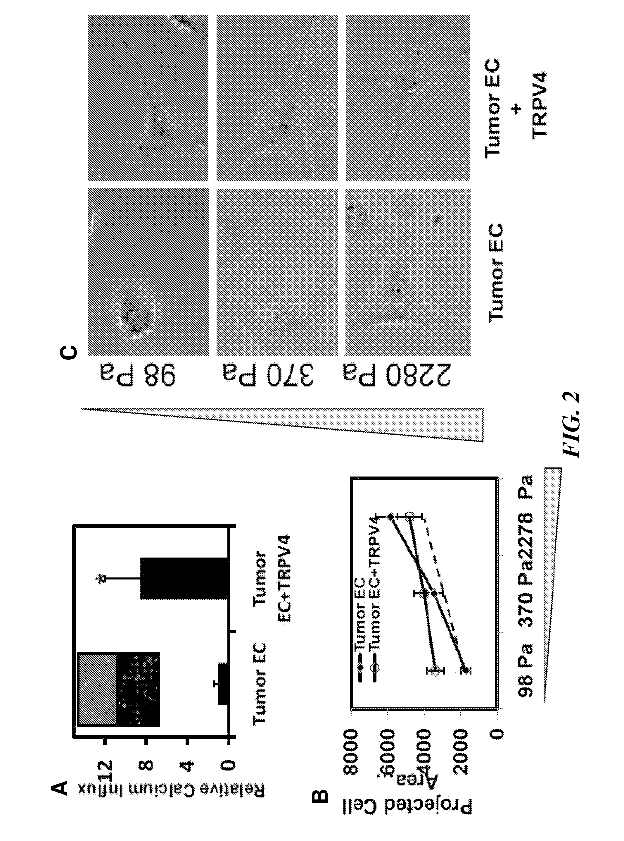 Efficacy of cancer therapy