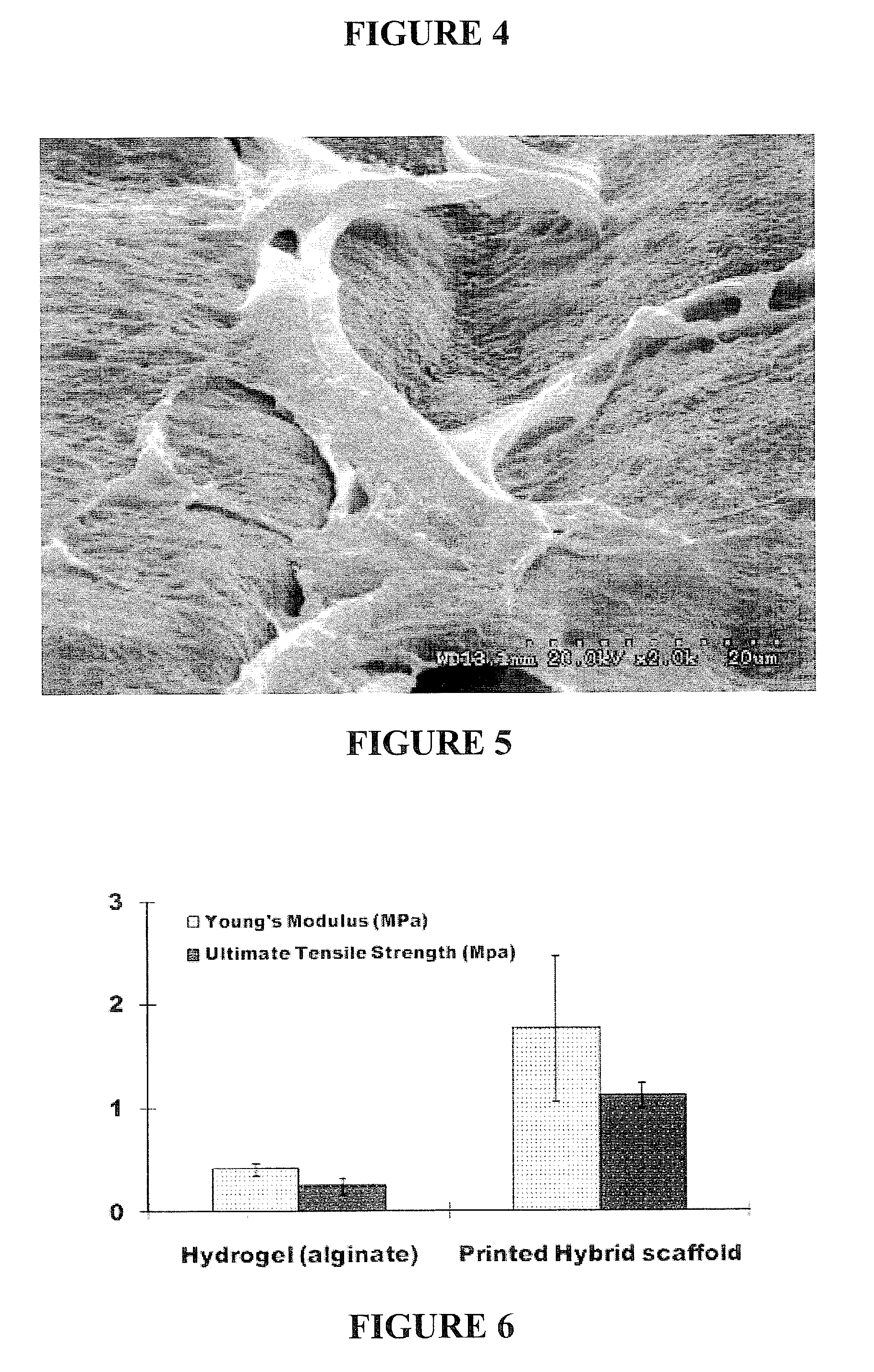 Inkjet printing of tissues and cells