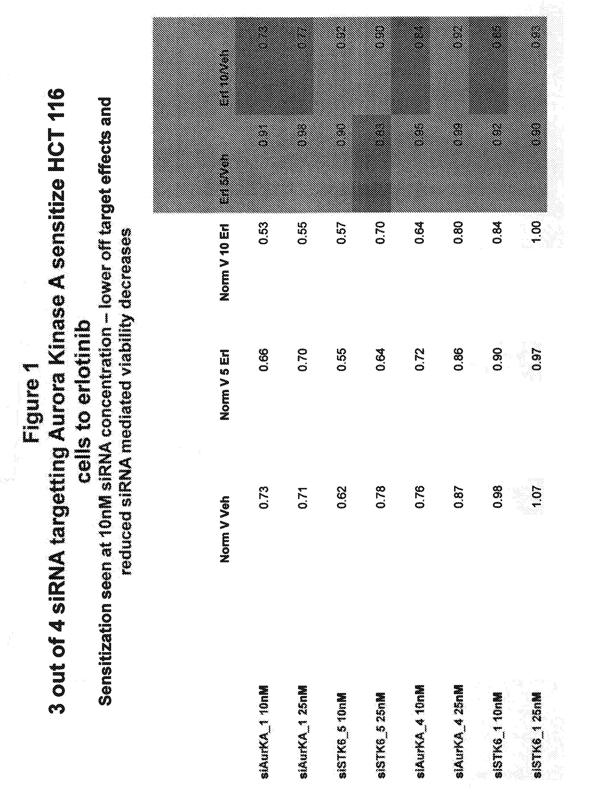 Combination Therapy for the Treatment of Cancer