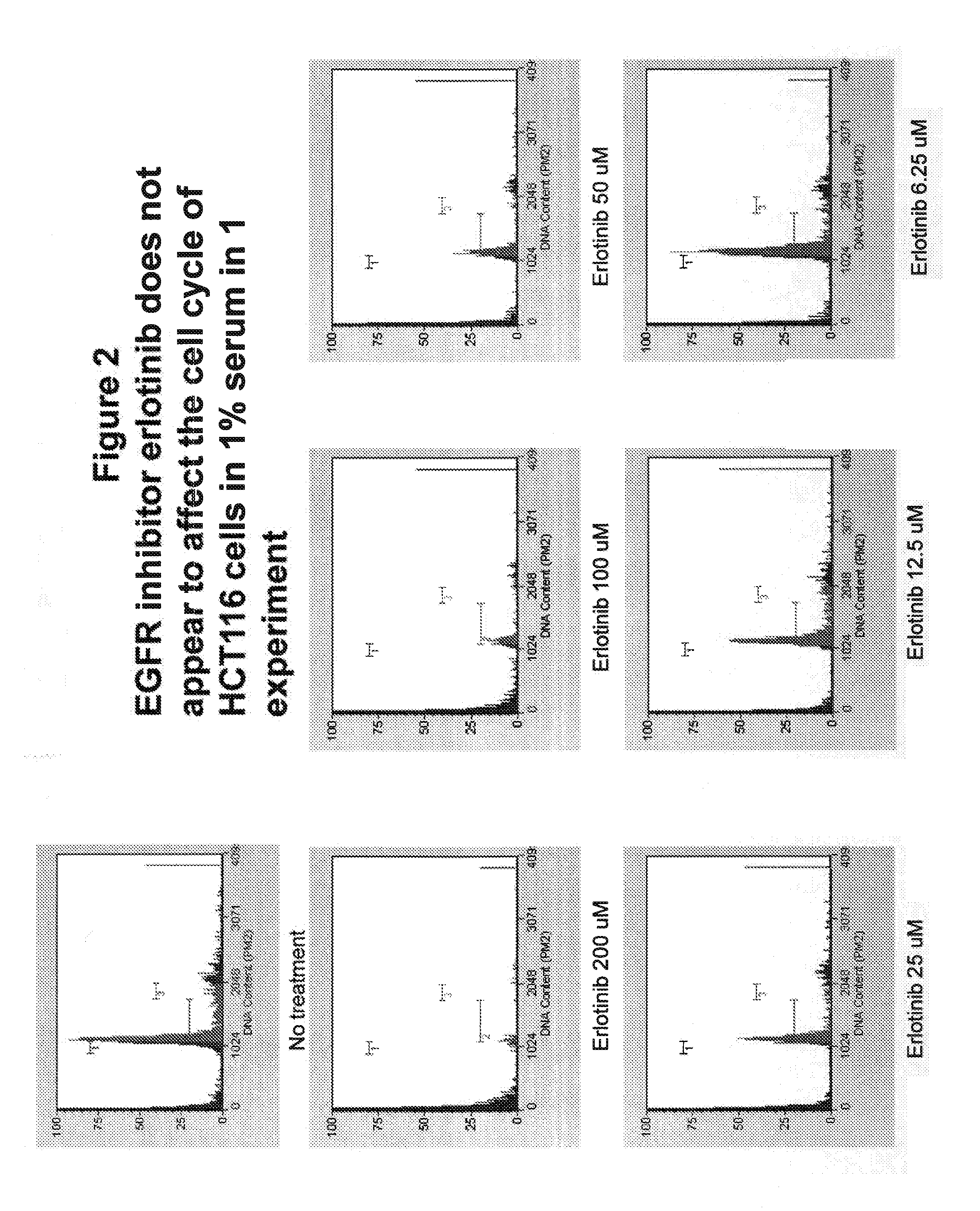 Combination Therapy for the Treatment of Cancer