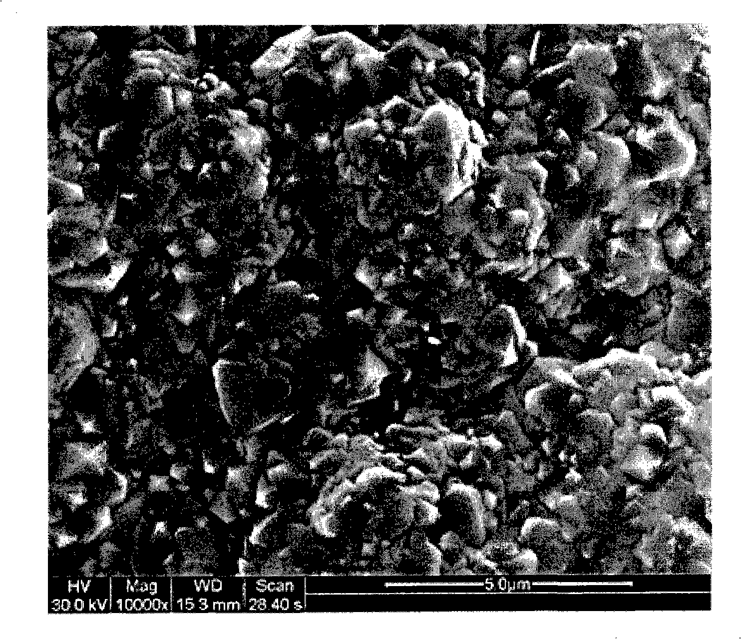 Method for preparing high-performance Y type molecular sieve film and application of the same in organic mixture separation