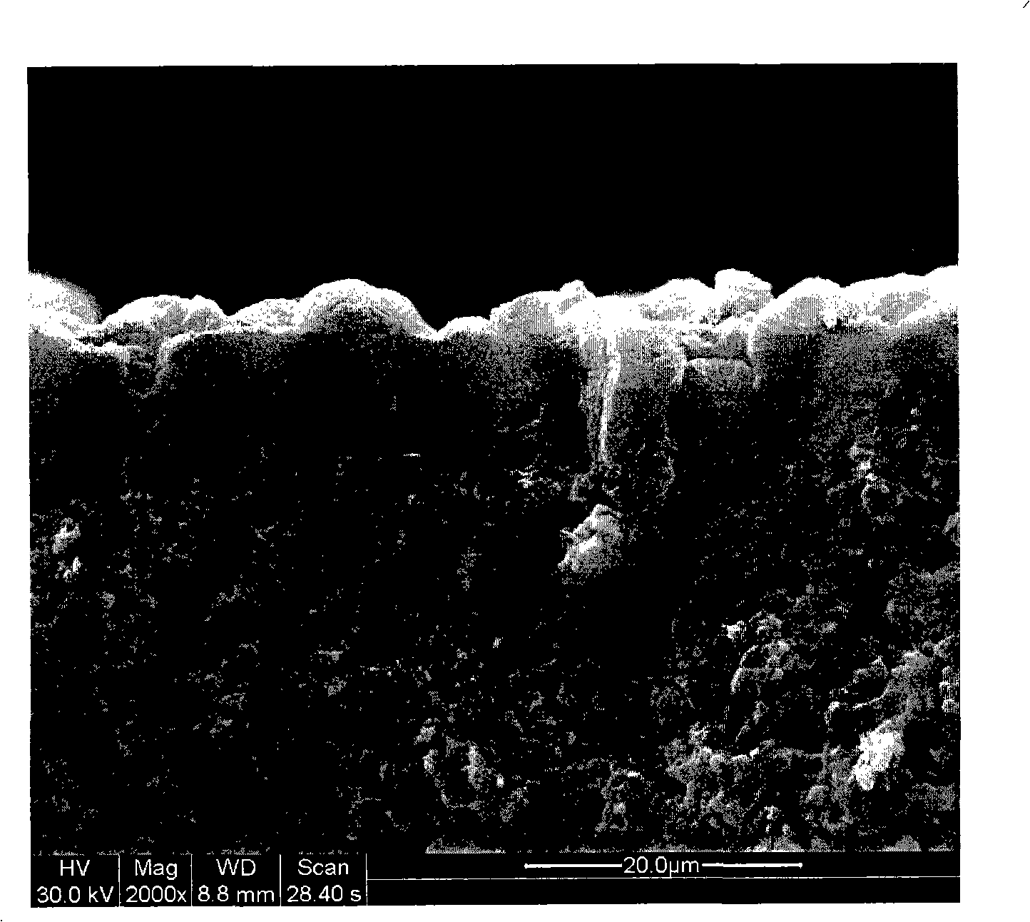 Method for preparing high-performance Y type molecular sieve film and application of the same in organic mixture separation