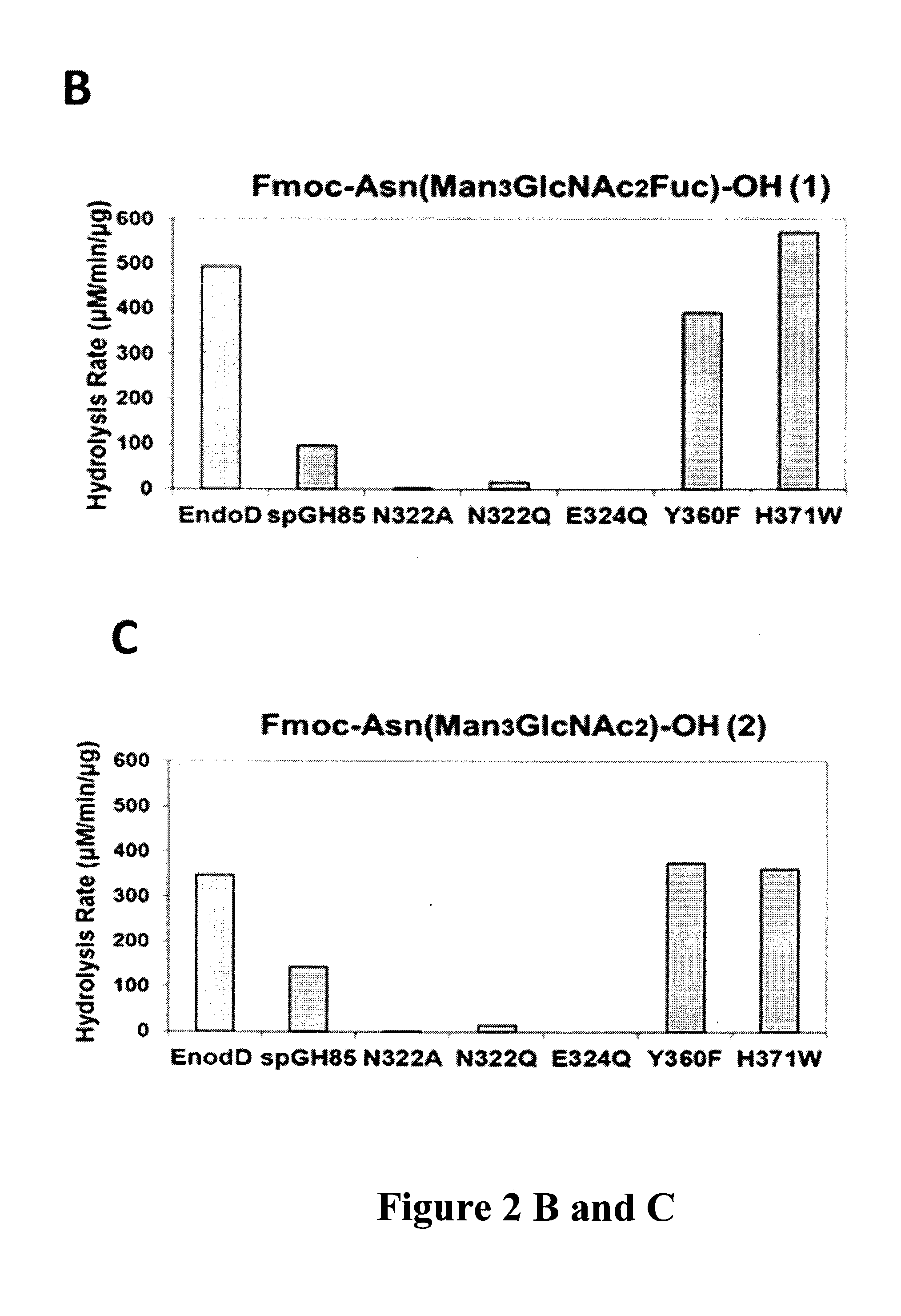 Transglycosylation activity of glycosynthase mutants of an endo-beta-n-acetylglucosaminidase (endo-d) from streptococcus pneumoniae