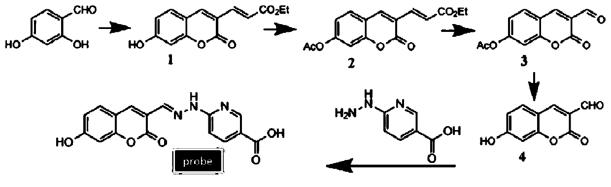 High fluorescence quantum yield two-photon Zn&lt;2+&gt; detection fluorescence molecular probe as well as preparation method and application thereof