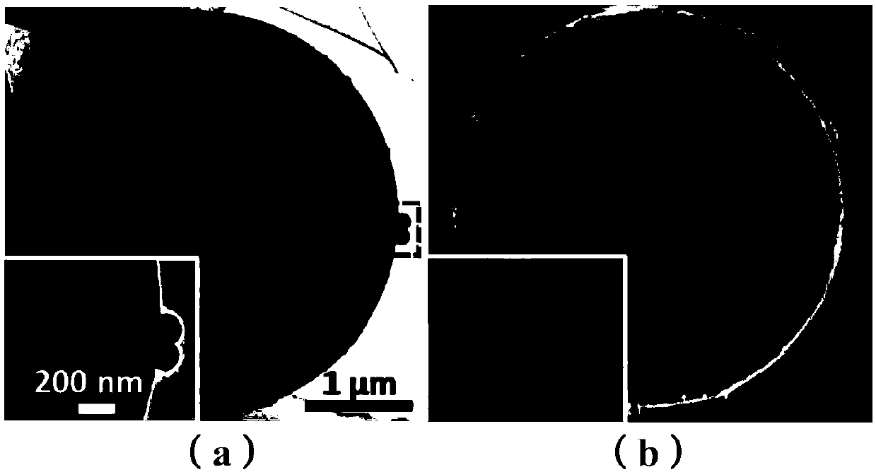 Exosome detecting device for detection and by-stage judgment of non-small-cell lung cancer and application