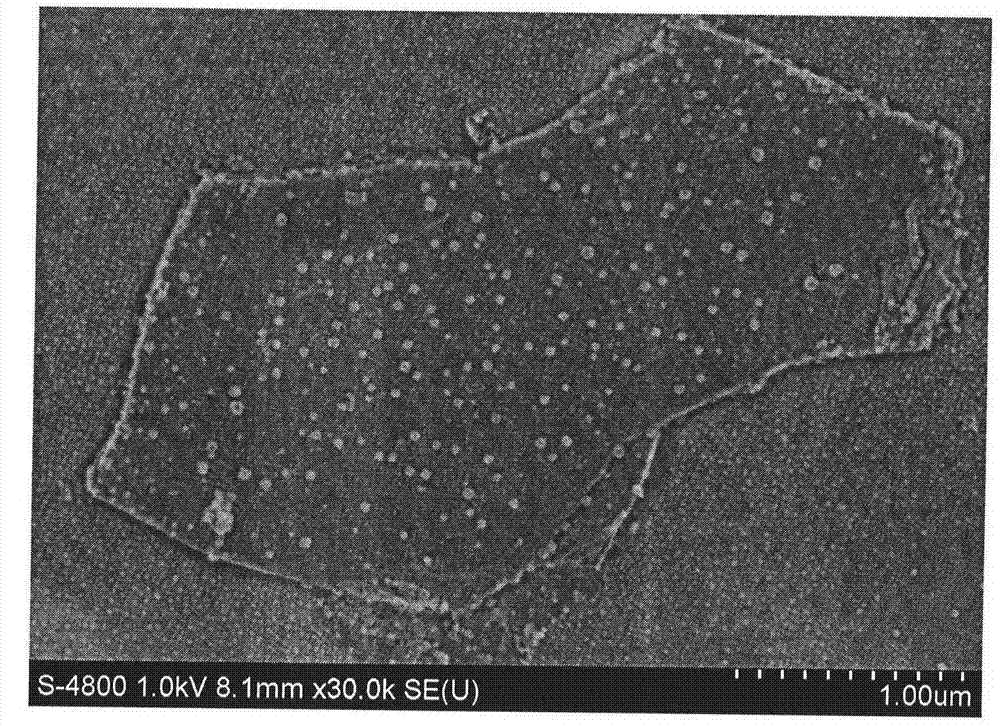 Heat-resistant antimicrobial polylactic acid material and preparation method thereof