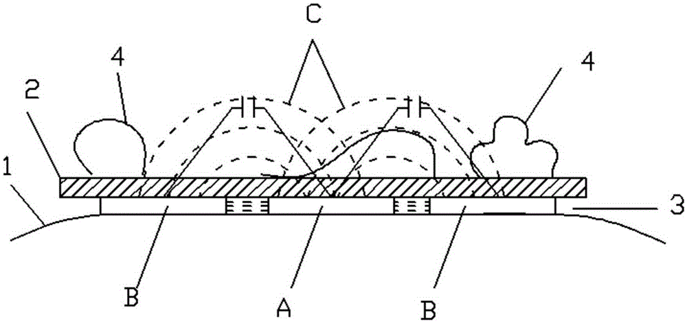 A device and method for detecting blood coagulation on the surface of artificial organs